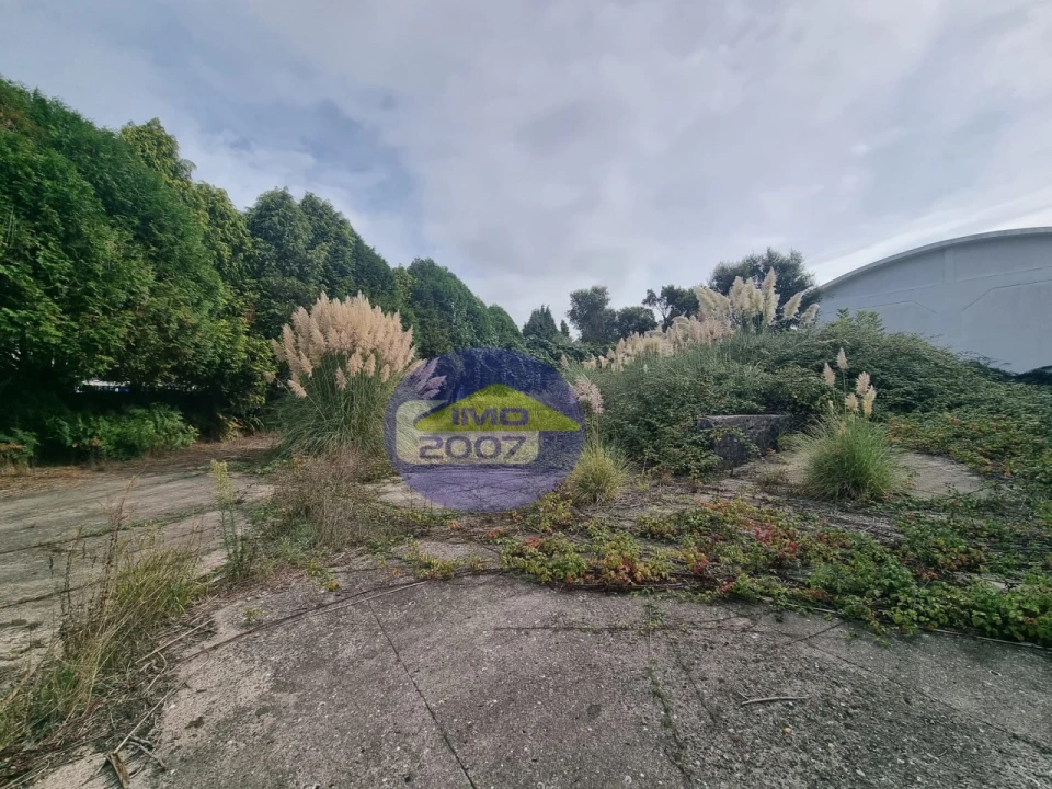 Armazém para Venda em Santa Maria de Lamas Foto 15