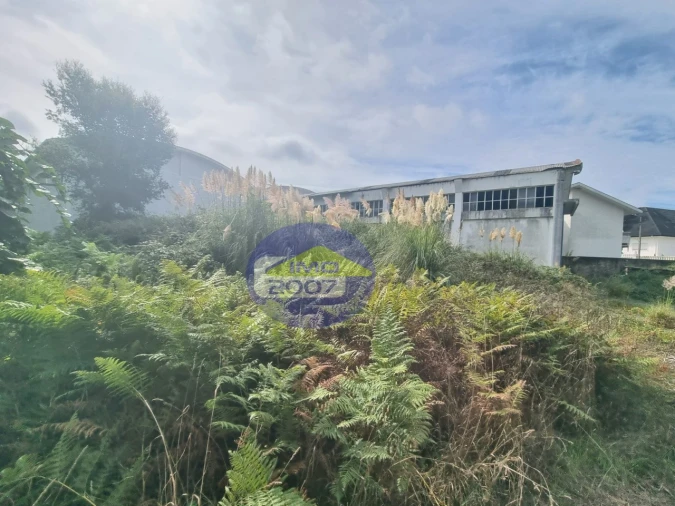 Armazém para Venda em Santa Maria de Lamas Foto 10