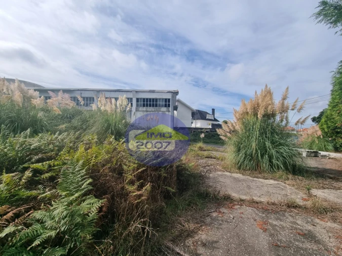 Armazém para Venda em Santa Maria de Lamas Foto 11