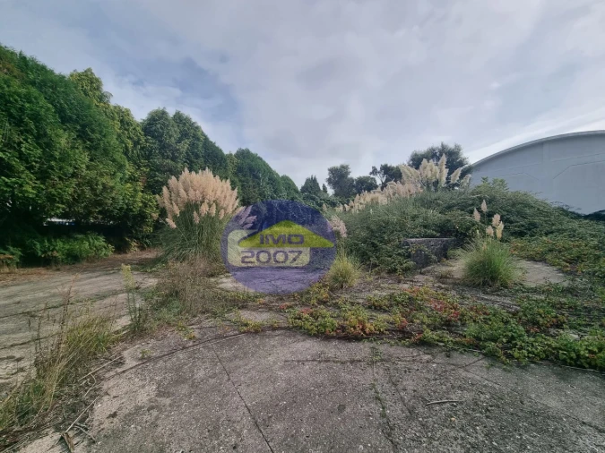 Armazém para Venda em Santa Maria de Lamas Foto 15