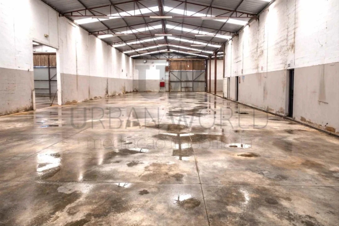 Armazém para Venda em Chamusca e Pinheiro Grande Foto 2