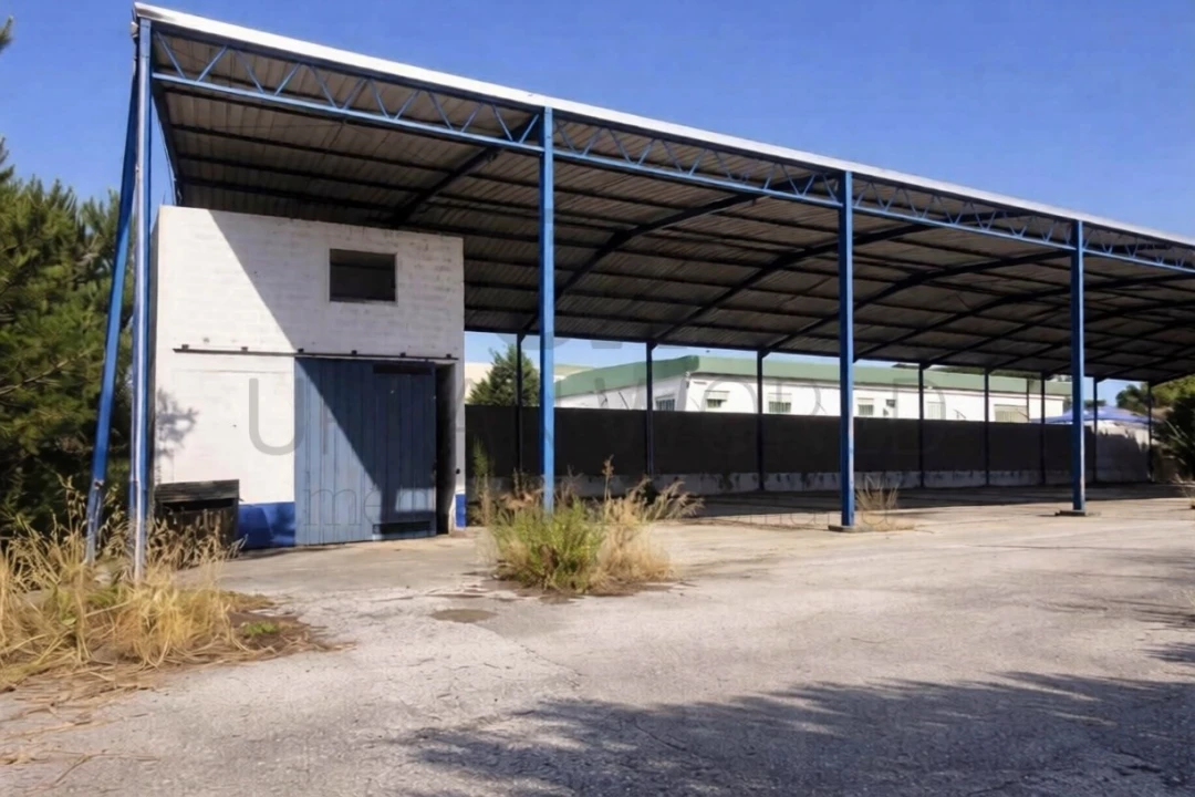 Armazém para Venda em Chamusca e Pinheiro Grande Foto 5