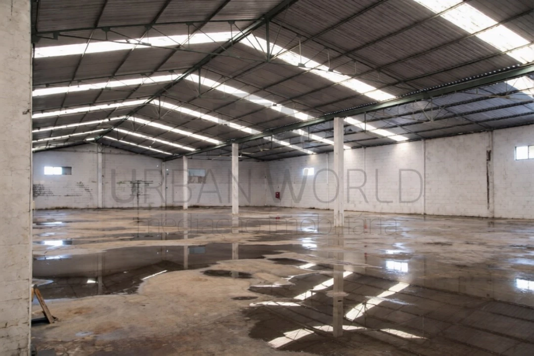 Armazém para Venda em Chamusca e Pinheiro Grande Foto 9