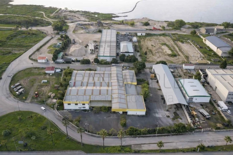 Armazém para Venda em Chamusca e Pinheiro Grande Foto 1