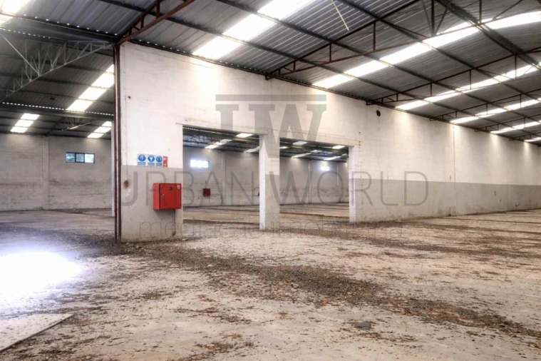 Armazém para Venda em Chamusca e Pinheiro Grande Foto 4