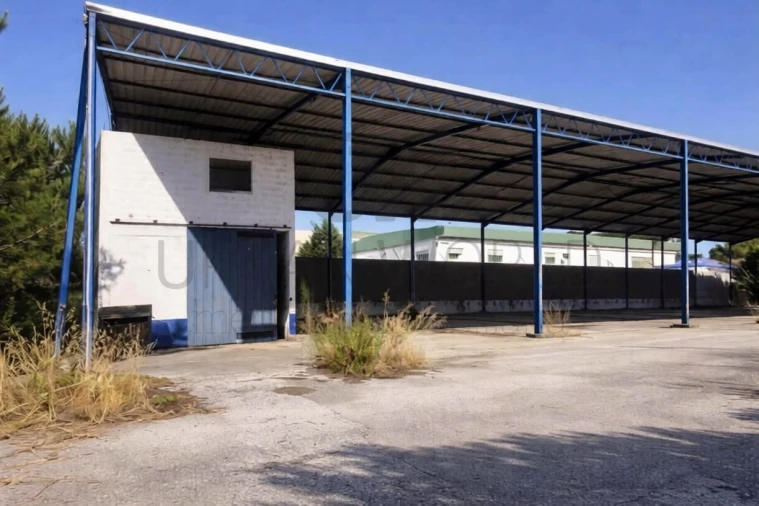 Armazém para Venda em Chamusca e Pinheiro Grande Foto 5