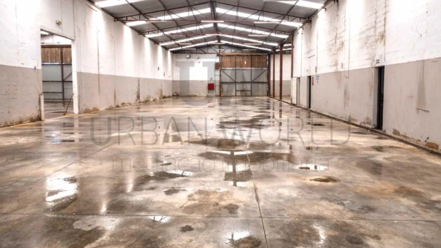 Armazém para Venda em Chamusca e Pinheiro Grande