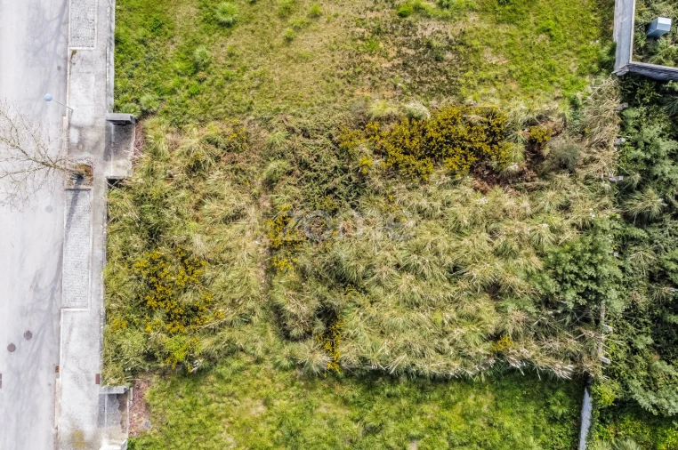 Terreno para Venda em Grijó e Sermonde Foto 13