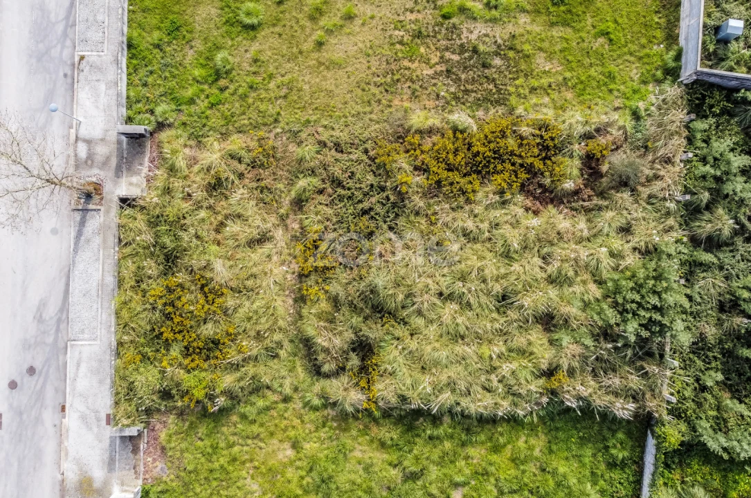 Terreno para Venda em Grijó e Sermonde Foto 13