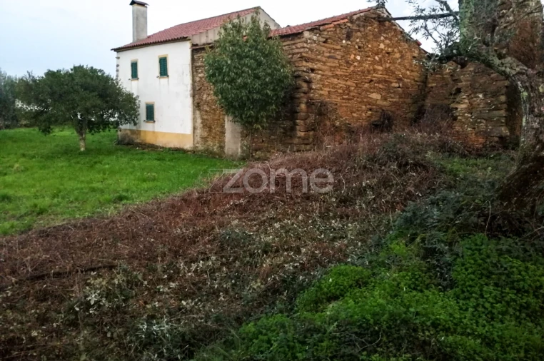 Terreno para Venda em Vila Velha de Rodão Foto 5