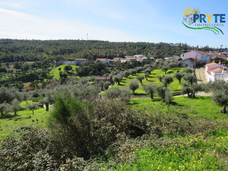 Terreno para Venda em Sarzedas Foto 13