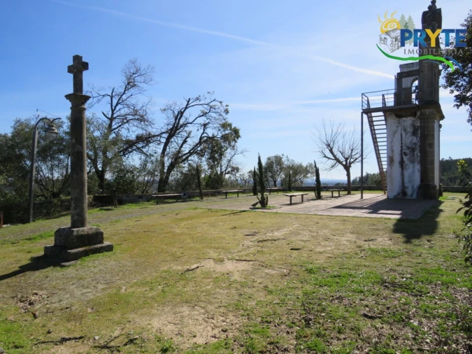 Terreno para Venda em Sarzedas Foto 11
