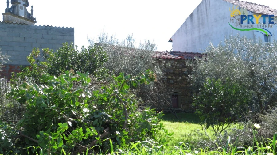 Terreno para Venda em Sarzedas Foto 14