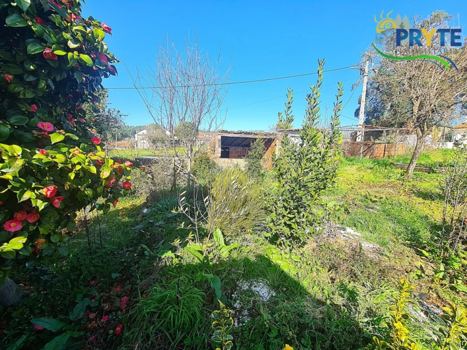 Moradia T4 para Venda em Sertã Foto 50