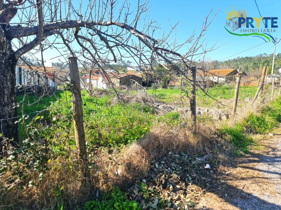 Moradia T4 para Venda em Sertã Foto 56