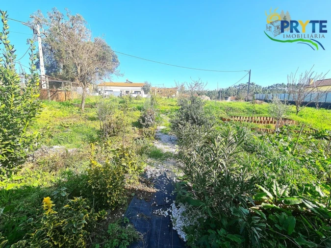 Moradia T4 para Venda em Sertã Foto 49