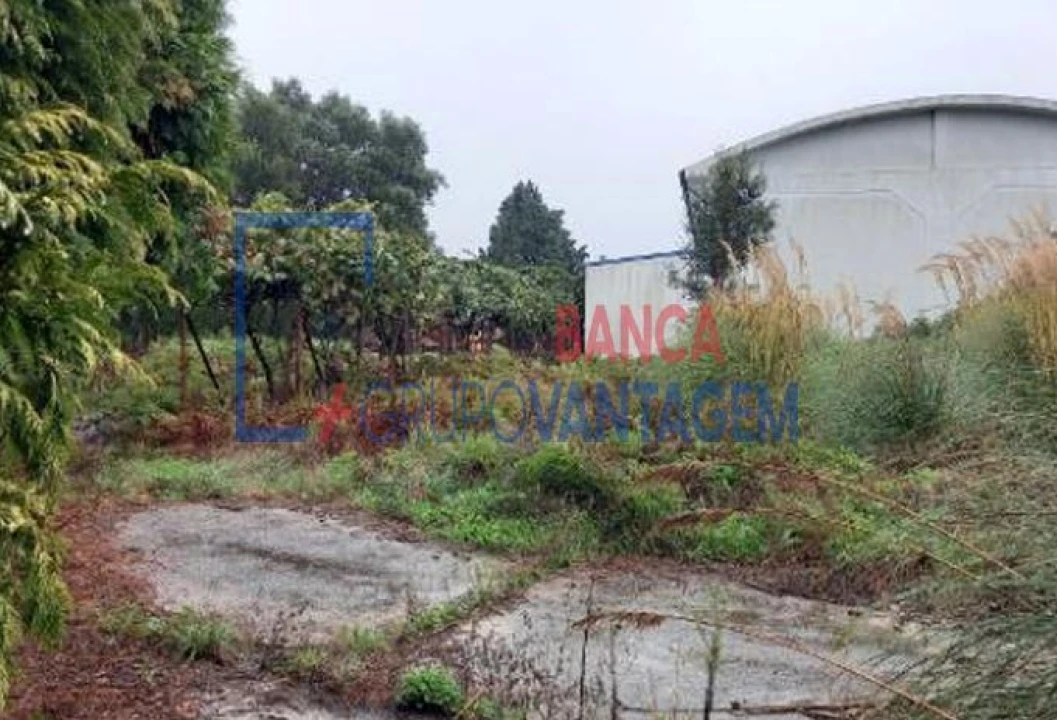 Armazém para Venda em Santa Maria de Lamas Foto 3