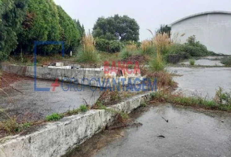 Armazém para Venda em Santa Maria de Lamas Foto 2