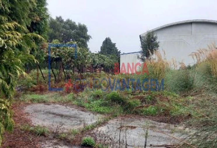 Armazém para Venda em Santa Maria de Lamas Foto 3