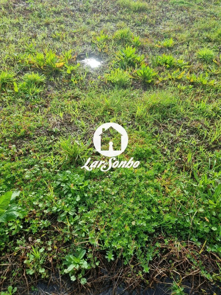 Terreno para Venda em Barroselas e Carvoeiro Foto 4