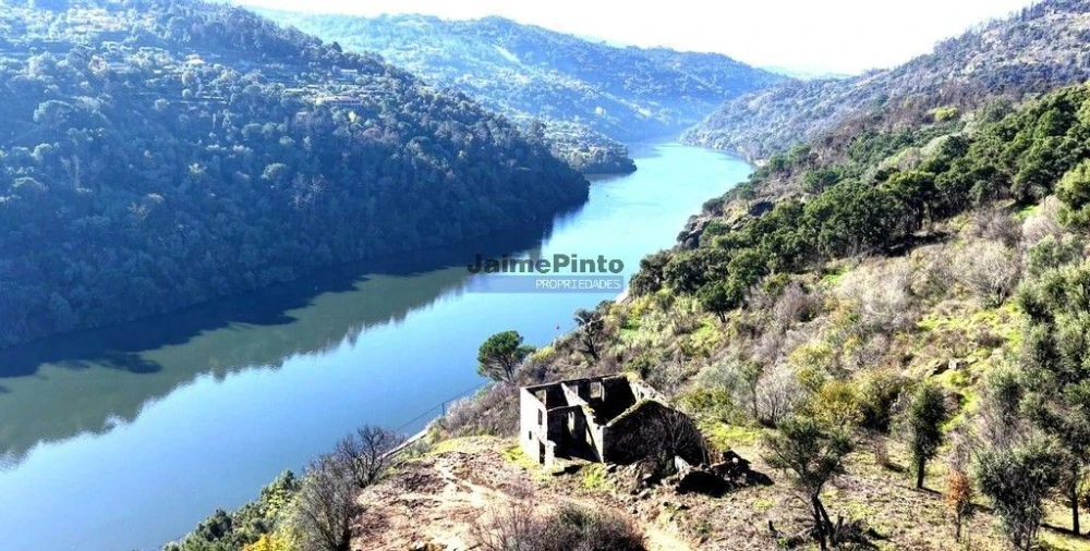 Terreno para Venda em Baião (Santa Leocádia) e Mesquinhata Foto 2