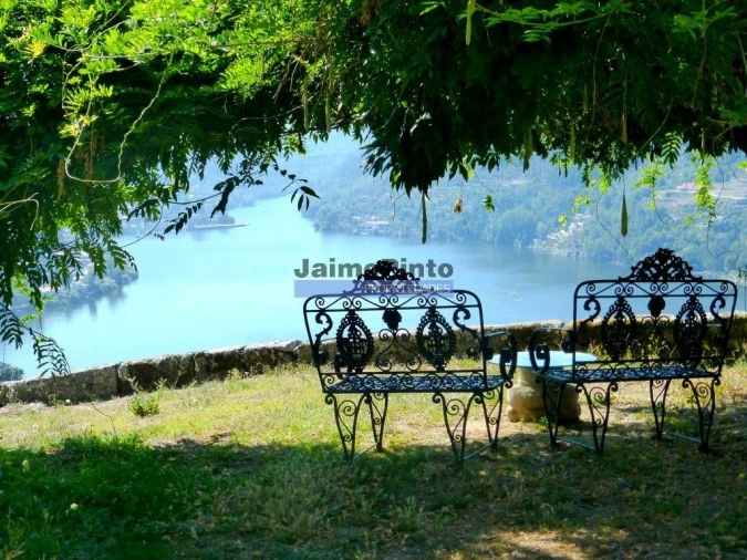 Terreno para Venda em Baião (Santa Leocádia) e Mesquinhata Foto 5