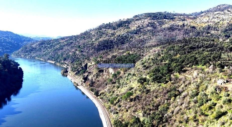 Terreno para Venda em Baião (Santa Leocádia) e Mesquinhata Foto 7