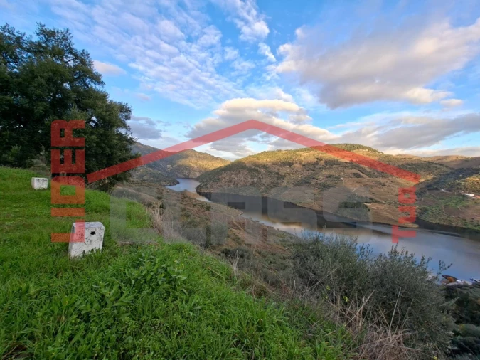 Moradia T5 para Venda em Favaios Foto 10