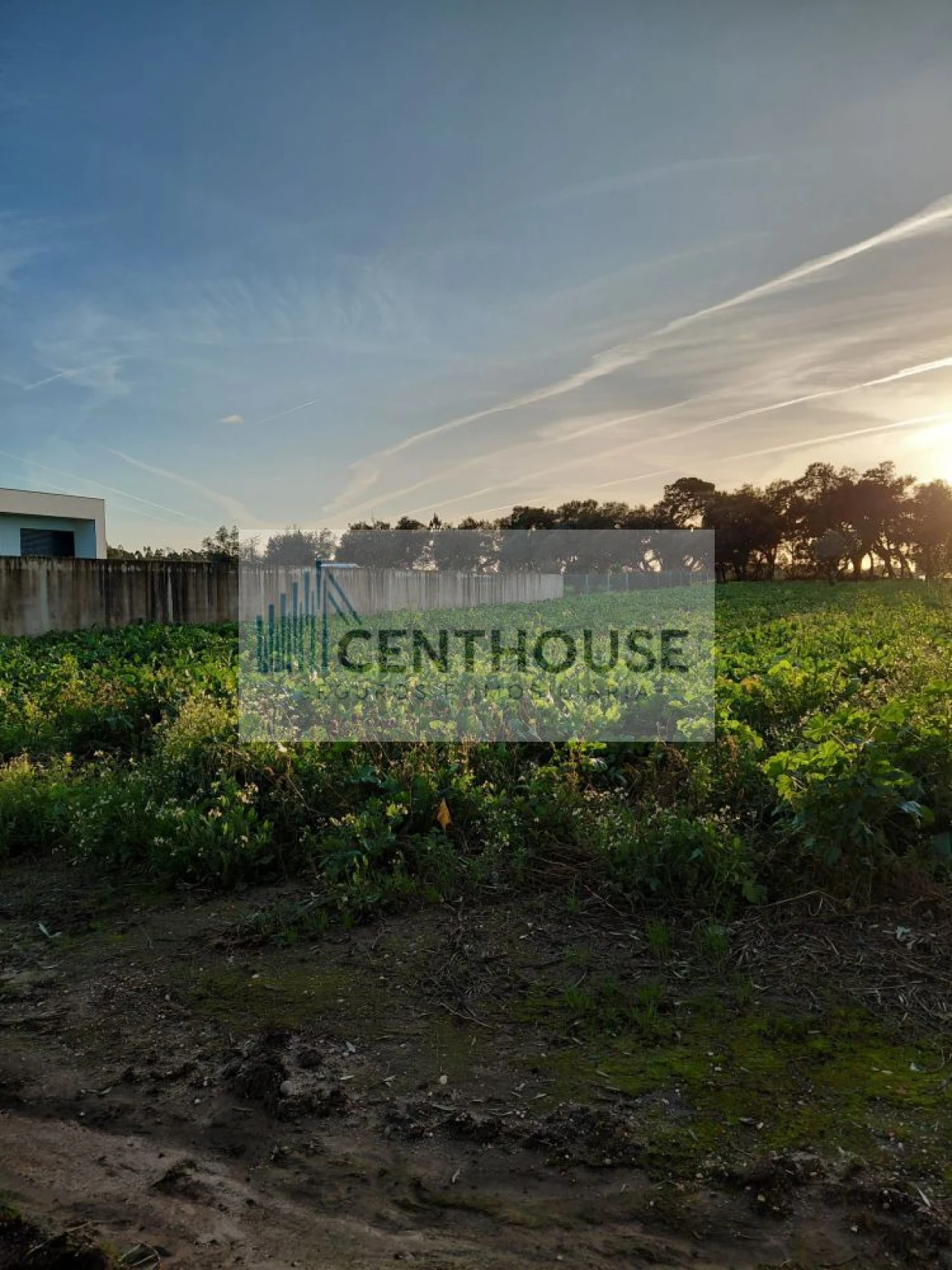 Terreno para Venda em Ourentã Foto 2