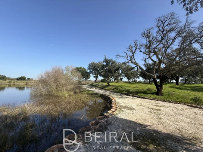 Terreno para Venda em Santo Estêvão Foto 18