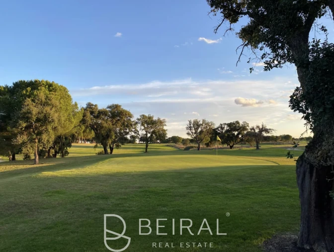 Terreno para Venda em Santo Estêvão Foto 24