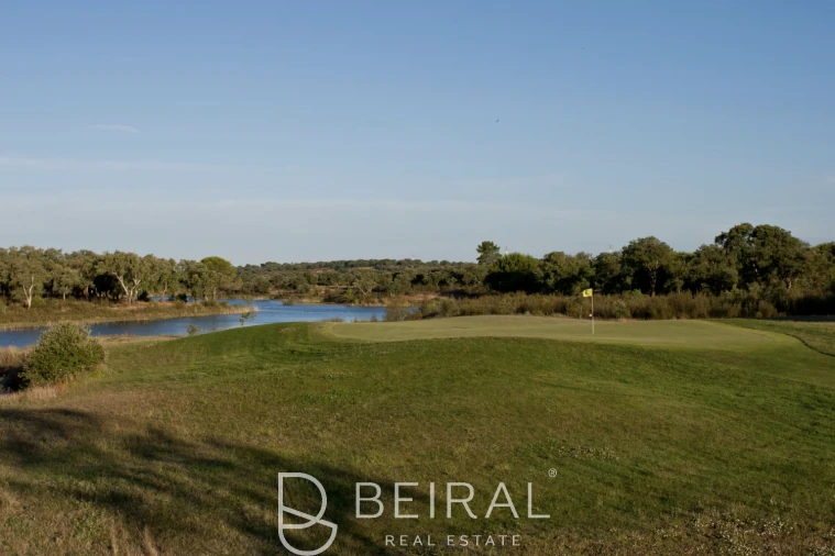 Terreno para Venda em Santo Estêvão Foto 25