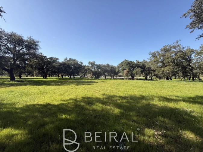 Terreno para Venda em Santo Estêvão Foto 8