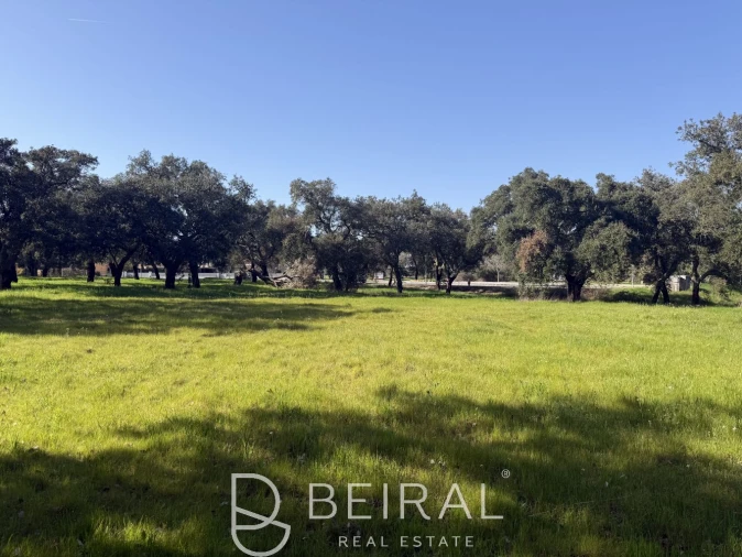 Terreno para Venda em Santo Estêvão Foto 9