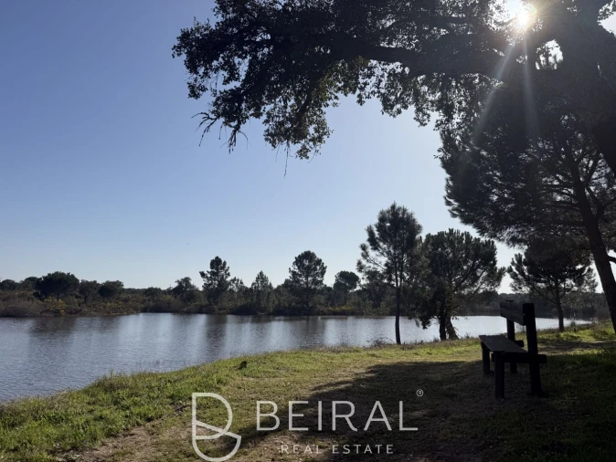 Terreno para Venda em Santo Estêvão Foto 12