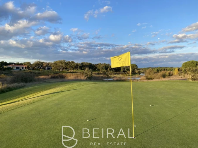 Terreno para Venda em Santo Estêvão Foto 23