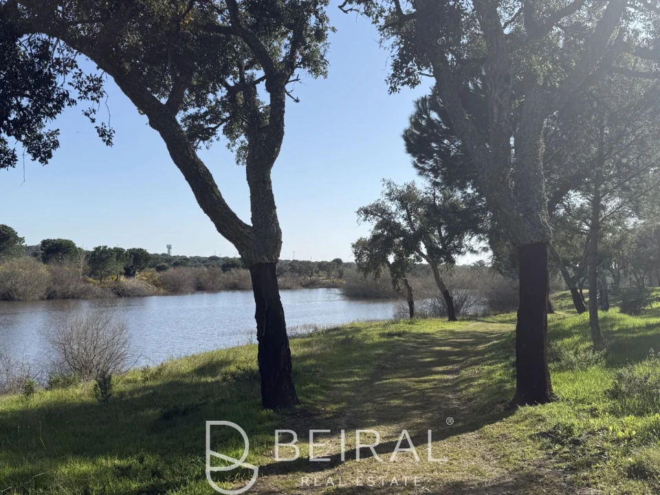 Terreno para Venda em Santo Estêvão Foto 10