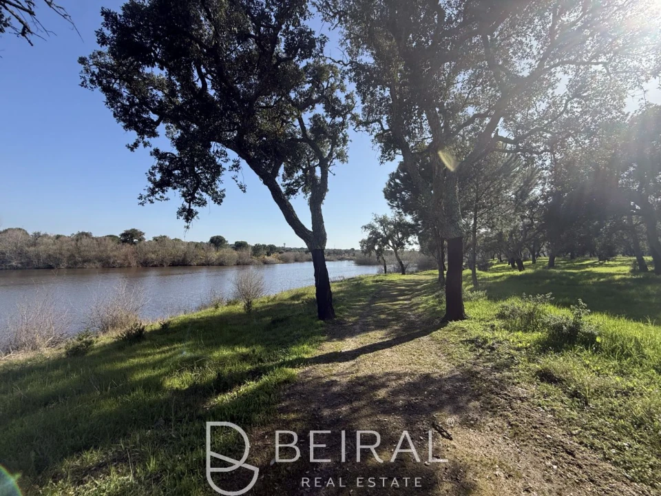 Terreno para Venda em Santo Estêvão Foto 2