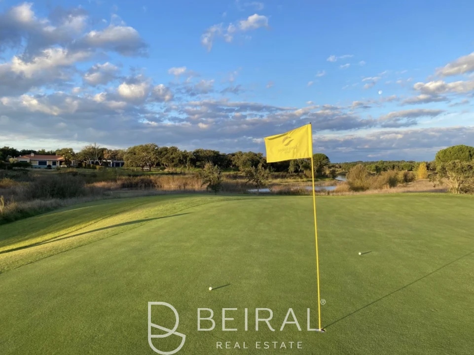 Terreno para Venda em Santo Estêvão Foto 23