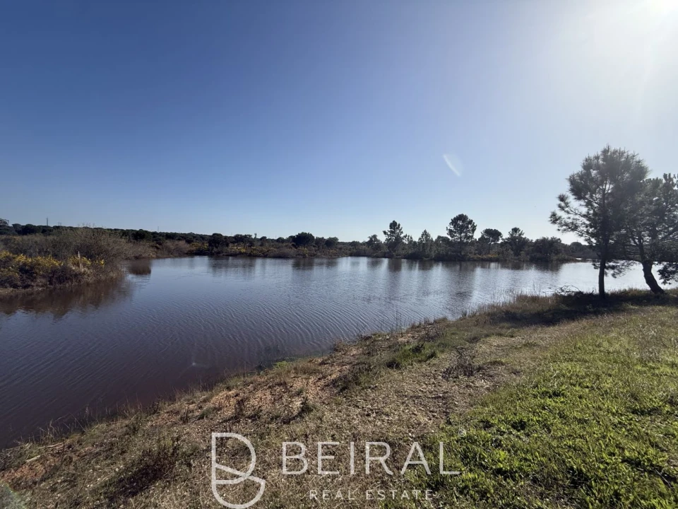 Terreno para Venda em Santo Estêvão Foto 7