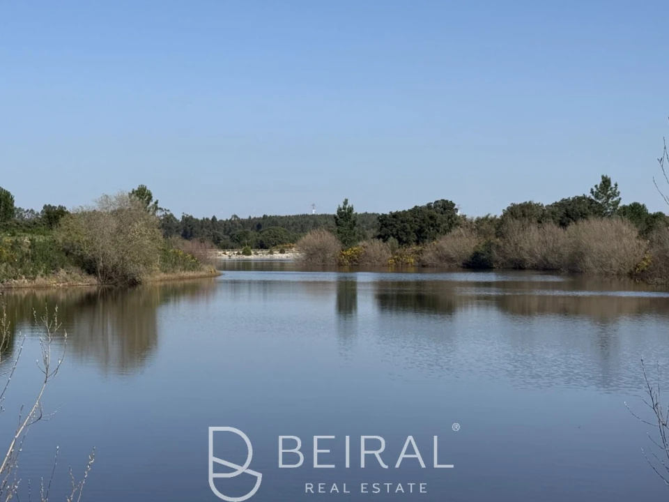 Terreno para Venda em Santo Estêvão Foto 3