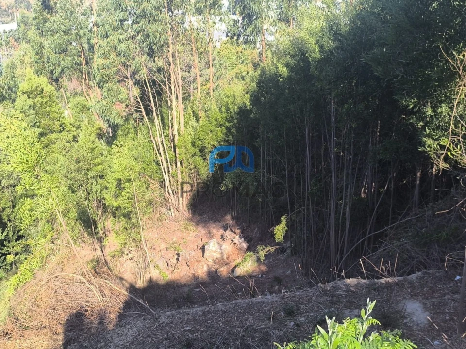 Terreno para Venda em Fânzeres e São Pedro da Cova Foto 9
