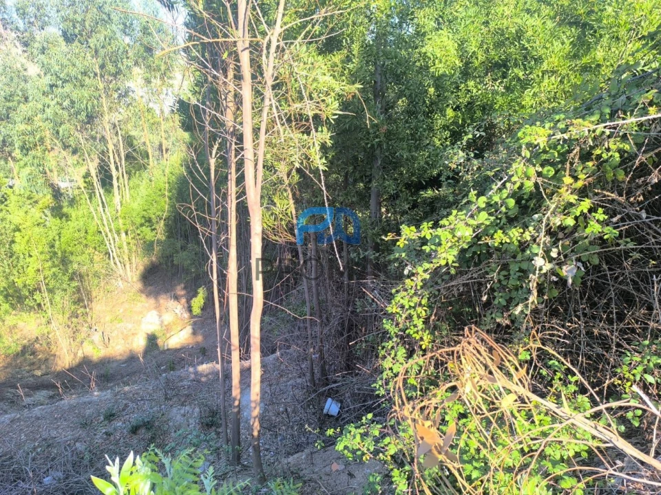 Terreno para Venda em Fânzeres e São Pedro da Cova Foto 7