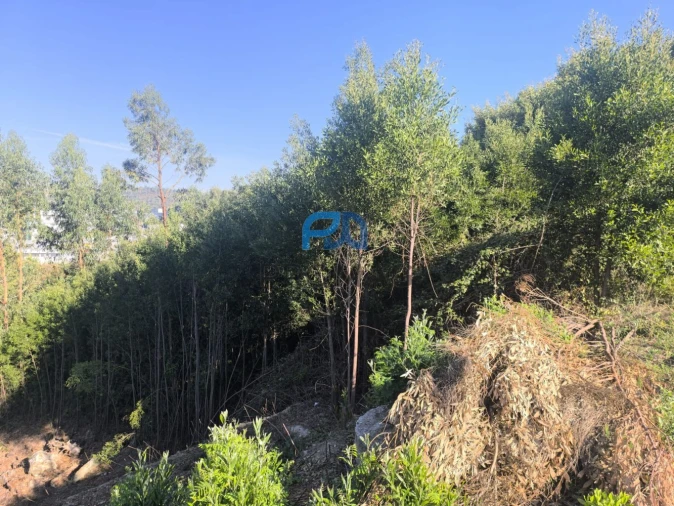 Terreno para Venda em Fânzeres e São Pedro da Cova Foto 5