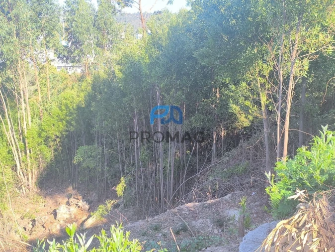 Terreno para Venda em Fânzeres e São Pedro da Cova Foto 8