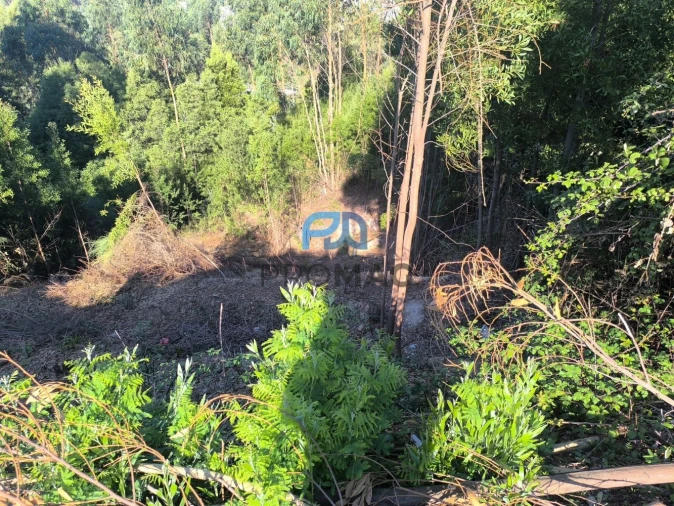 Terreno para Venda em Fânzeres e São Pedro da Cova Foto 6