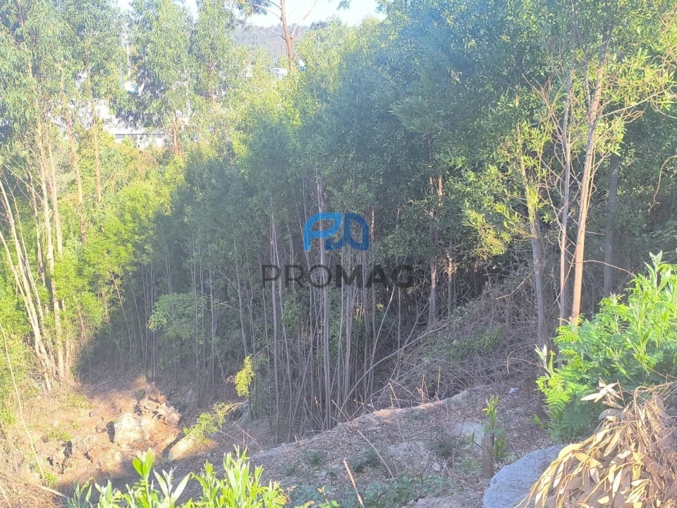 Terreno para Venda em Fânzeres e São Pedro da Cova Foto 8