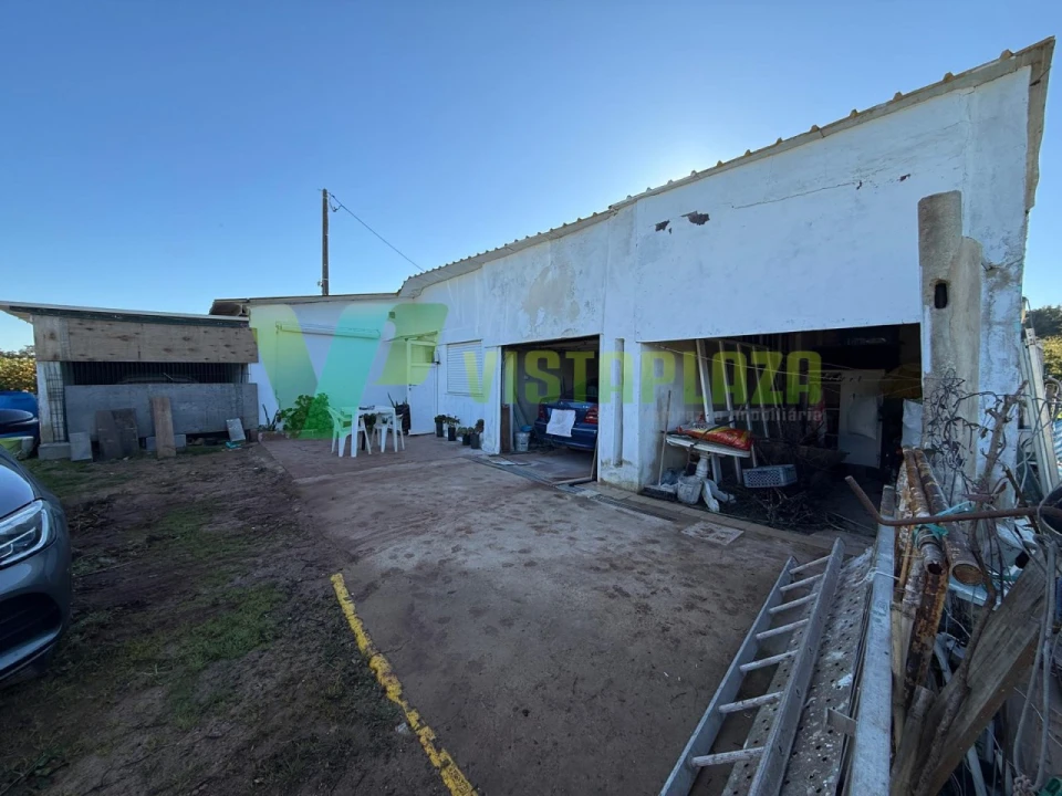 Terreno Agricola ou Rústico para Venda em Silves Foto 12