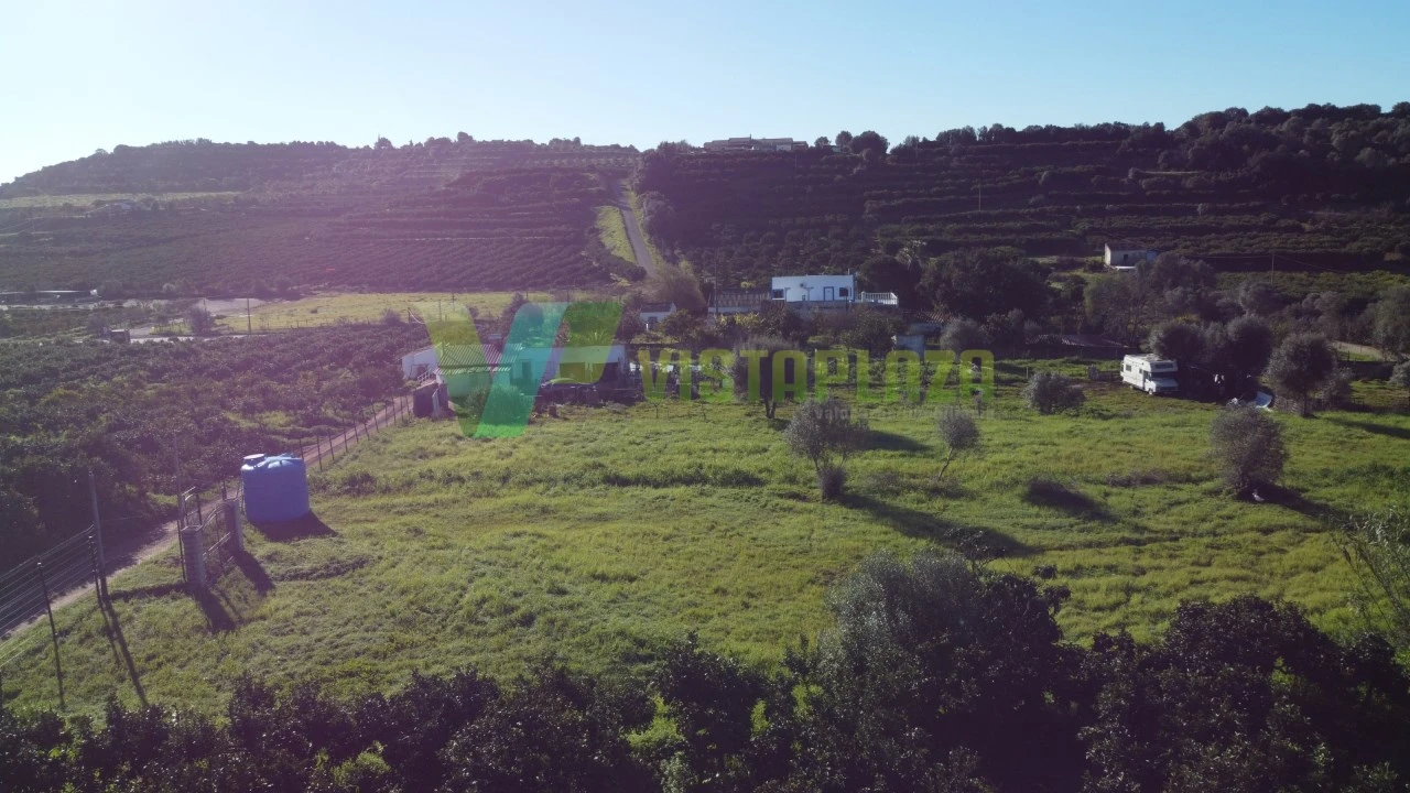 Terreno Agricola ou Rústico para Venda em Silves Foto 13