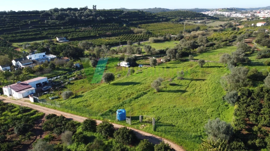Terreno Agricola ou Rústico para Venda em Silves Foto 3